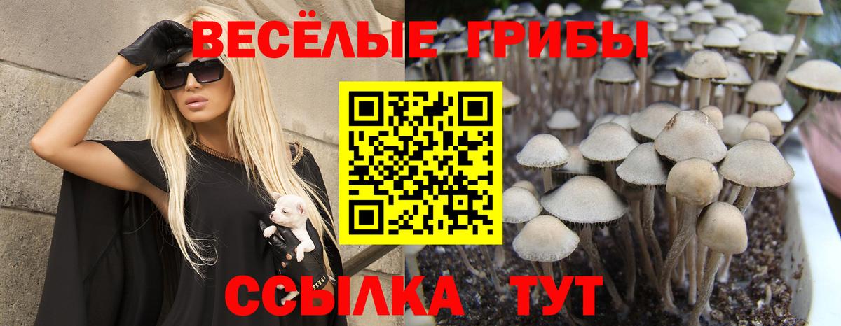 Галлюциногенные грибы GOLDEN TEACHER Донской